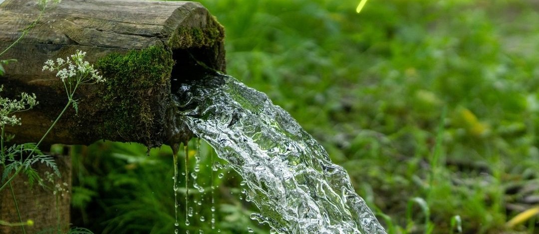 une source coulant d'un tuyeau, entouré de verdure